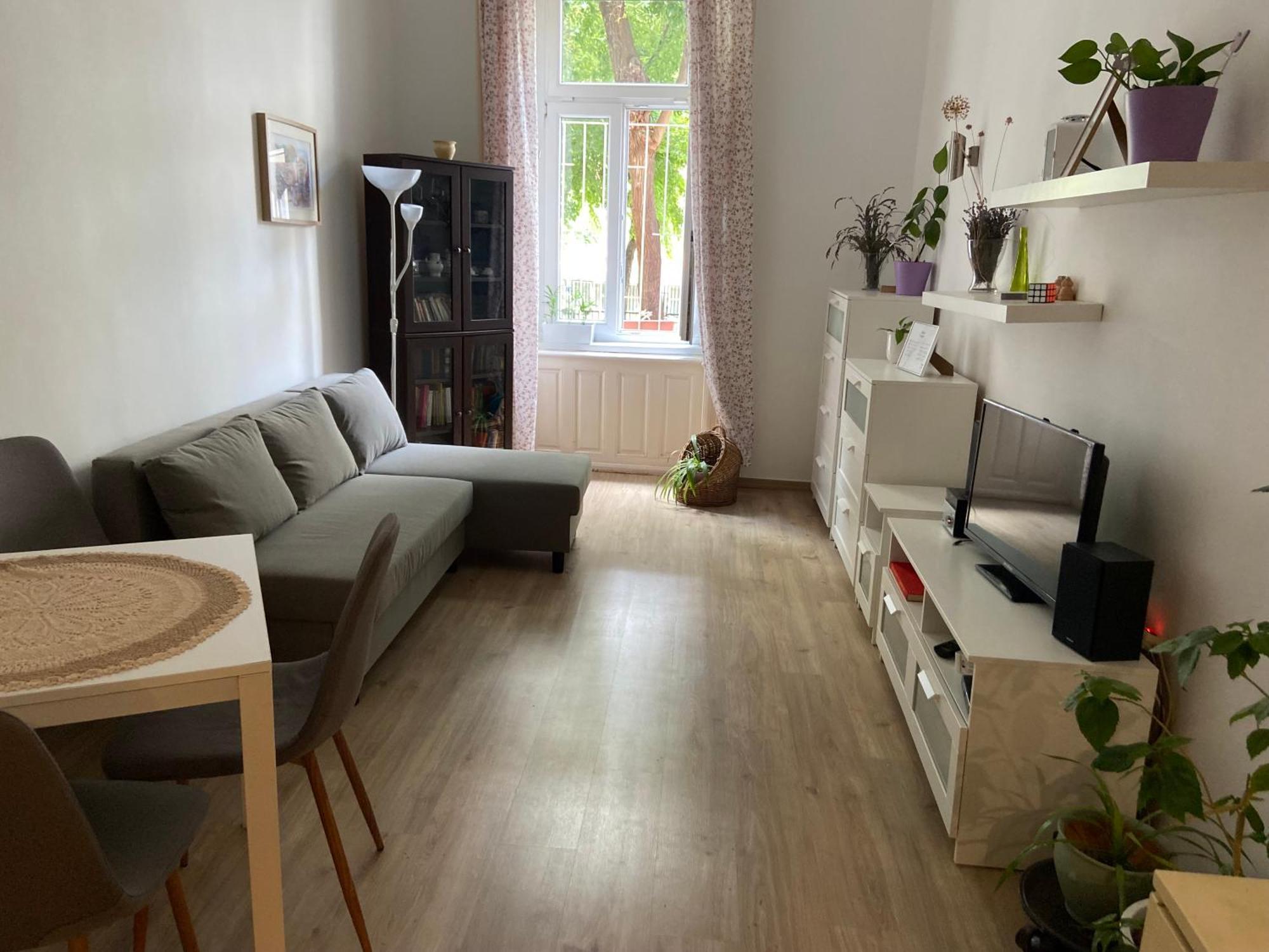 Simon'S Apartment City Centre Budapest Kültér fotó